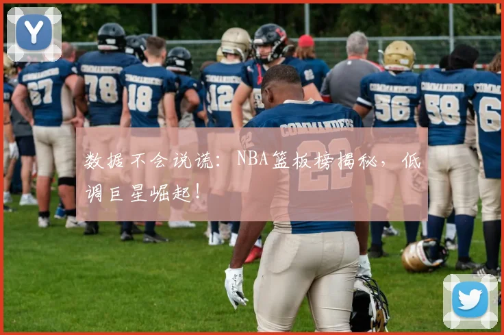 数据不会说谎:NBA篮板榜揭秘,低调巨星崛起!
