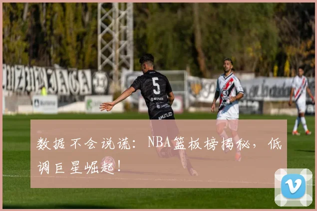 数据不会说谎：NBA篮板榜揭秘，低调巨星崛起！